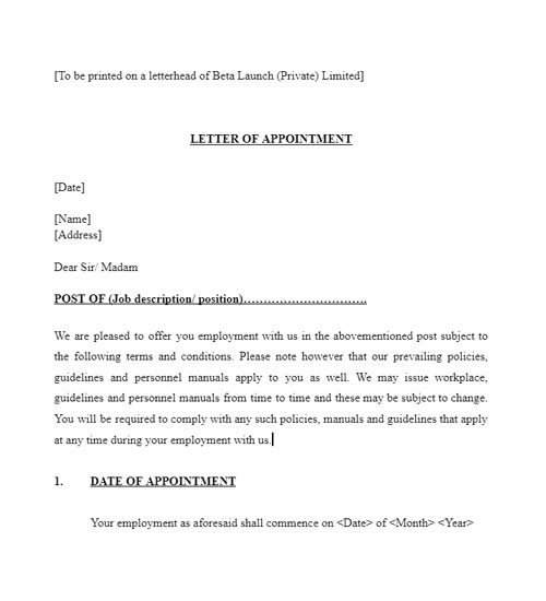 Letter of Appointment preview