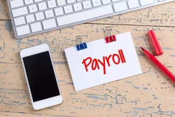 Small Business Payroll Challenges in Sri Lanka